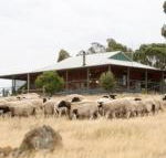 Gilgraves Vineyard Farmstay - Accommodation Georgetown