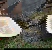 William Hunts Retreat Cypress Studio