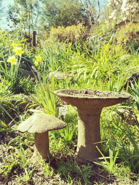 Lake House Benalla - Accommodation Georgetown 6