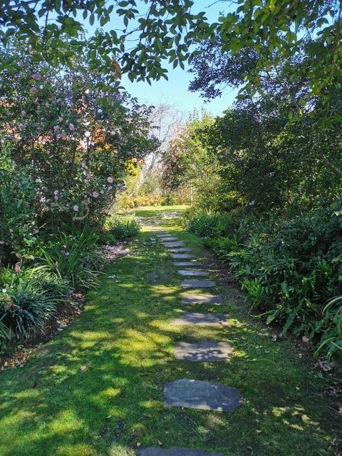 Lake House Benalla - Accommodation Georgetown 1