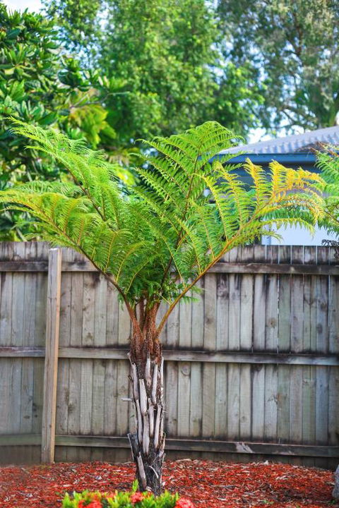 Uyoung Diving Resort - Accommodation Georgetown 3