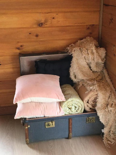 Springmead Rustic Cabin - Accommodation Georgetown 5