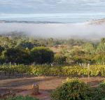 Pecan Hill BNB - Accommodation Georgetown