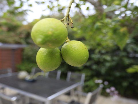 Tradewinds At The Bay All The Comforts Of Home - Accommodation Georgetown 4