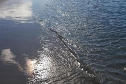 Beachside Husky Waterfront - Accommodation Georgetown 7