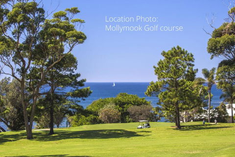 Mollymooks Tee To Sea 19 Buchan Street - Accommodation Georgetown 2