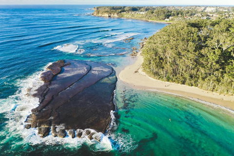 Mollymooks Tee To Sea 19 Buchan Street - Accommodation Georgetown 1