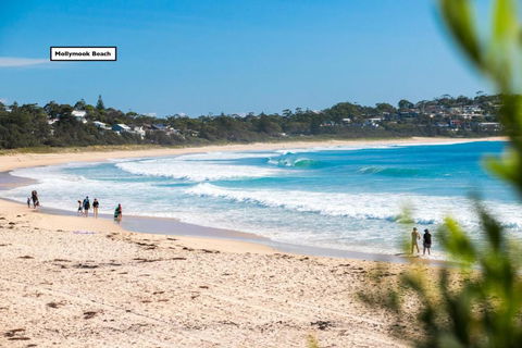 Relaxed Homely Retreat 57 Carroll Ave - Accommodation Georgetown 4