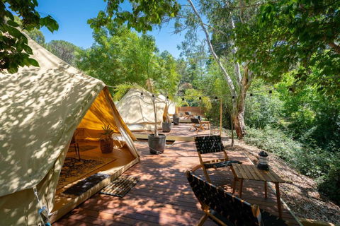 Castlemaine Gardens Luxury Glamping - Accommodation Georgetown 2