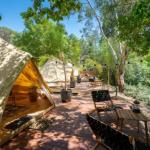 Castlemaine Gardens Luxury Glamping - Accommodation Georgetown 0