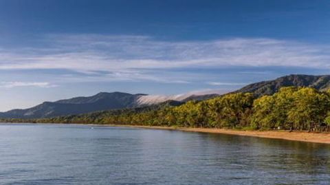 RED COWRIE 321atPALM COVE - Accommodation Georgetown 3