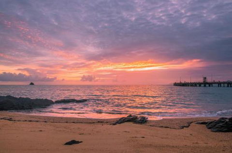 RED COWRIE 321atPALM COVE - Accommodation Georgetown 5