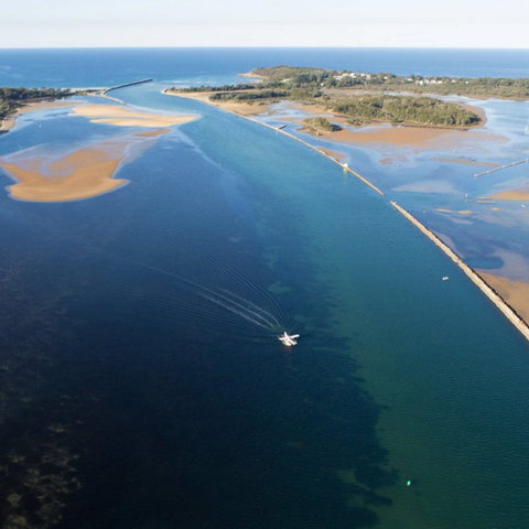 The Seabird - Accommodation Georgetown 0