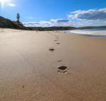 Surfers Paradise at Catherine Hill Bay