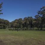 Mollymook NSW Accommodation Georgetown