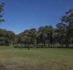 Championship Golf Course on your Back Door - Accommodation Georgetown