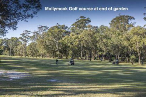 Clyde Studio 53 Mollymook - Accommodation Georgetown 5