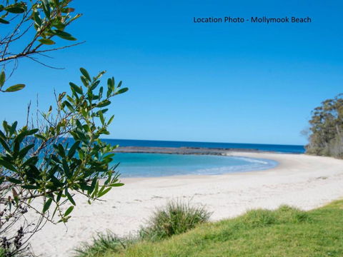 Tallwood Ave 77 Mollymook - Accommodation Georgetown 3