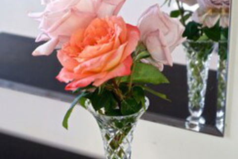 Driftwood Villa - Accommodation Georgetown 6