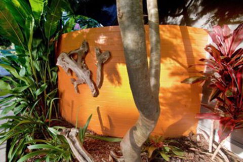 Driftwood Villa - Accommodation Georgetown 4