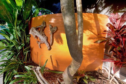 Driftwood Villa - Accommodation Georgetown 2