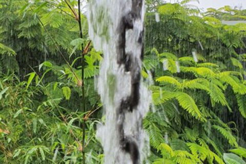 Driftwood Villa - Accommodation Georgetown 1