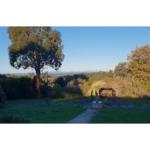 Ripplebrook Cottage - Accommodation Georgetown 0