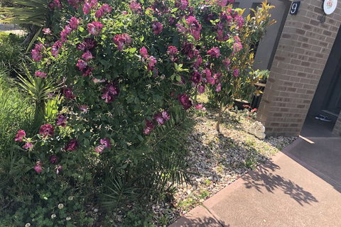 Apple House - Accommodation Georgetown 1