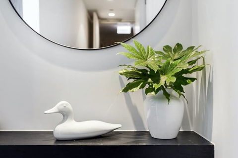 Xanadu Apartments - Accommodation Georgetown 1