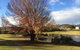 Dillons Cottage - thumb 6
