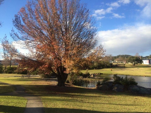 Dillons Cottage - Accommodation Georgetown 6