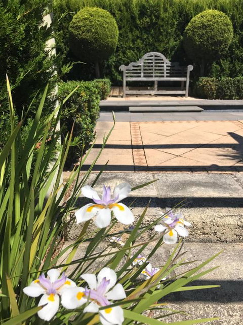 Studio 22 - Accommodation Georgetown 3