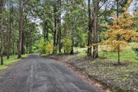 NUNGAROO COTTAGE - Accommodation Georgetown 6
