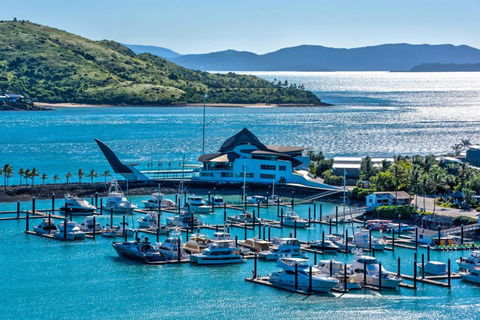 Uisce Luxury Holiday House With Jacuzzi Pool Table Cinema Premium Foxtel & Two Buggies - Accommodation Georgetown 2