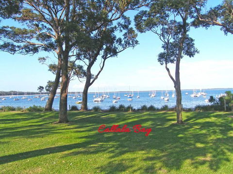 CHAP14C Chapman Cottage - Accommodation Georgetown 3