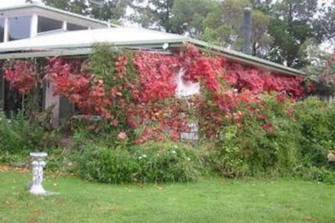 Castagni Bed & Breakfast - Accommodation Georgetown 2