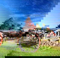 Oaks Ranch and Country Club - Accommodation Georgetown