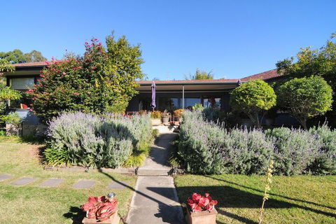 Dolphin Sands - Accommodation Georgetown 4