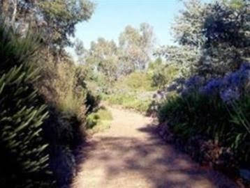 Cockatoo Valley SA Accommodation Georgetown