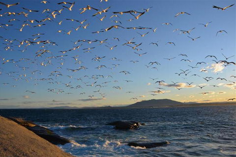 Narooma Motel - Accommodation Georgetown 3