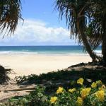 Ozone Shores - Accommodation Georgetown 0