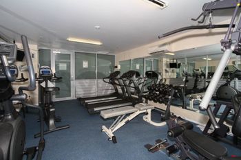 Resort Apartment 8224 - Accommodation Georgetown 5