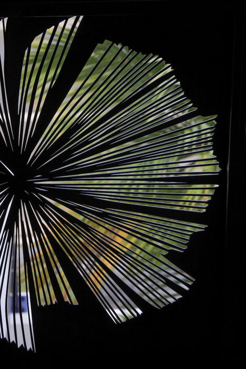 Valle Vista Luxury Apartments - Accommodation Georgetown 2