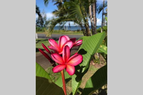 Mission Possible - Accommodation Georgetown 6