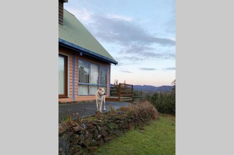 Wind Song Mountain Retreat - Accommodation Georgetown 2