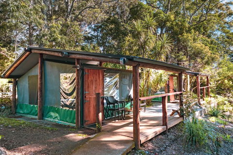 Binna Burra Rainforest Campsite - Accommodation Georgetown 3