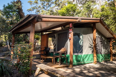 Binna Burra Rainforest Campsite - Accommodation Georgetown 5