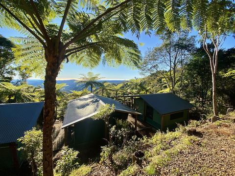 Binna Burra Rainforest Campsite - Accommodation Georgetown 0