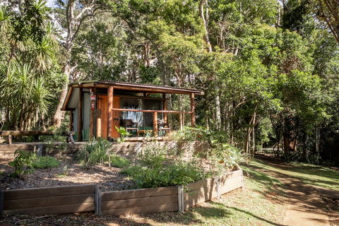 Binna Burra Rainforest Campsite - Accommodation Georgetown 1