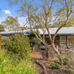 Hakea Bush Cabin - Accommodation Georgetown 0